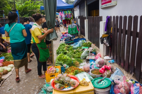 Morning market Luang Prabang