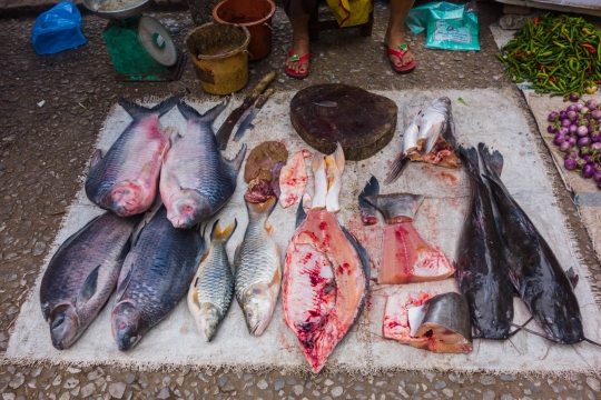 Morning market Luang Prabang