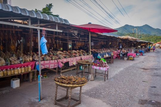 Dried fish market at reservoir