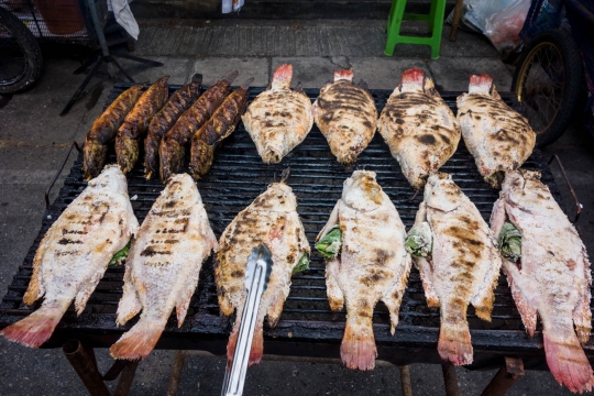 Salted fish of Mae Sariang