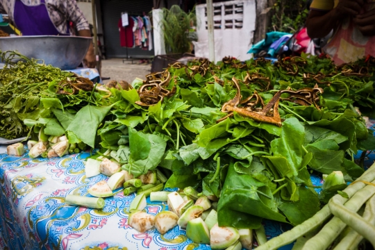 Mae Sariang market