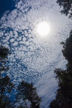 Beautiful skies 2nd time out of Mae Sot