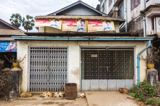 Sleeping street dogs Hpa-An