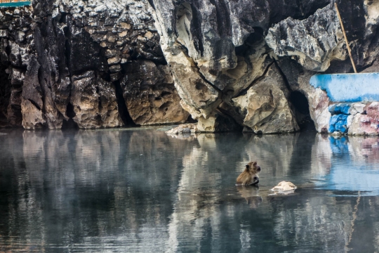 Bayin Nyi Cave and hot spring with monkeys