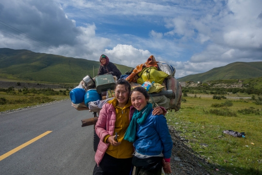 migrating nomad family
