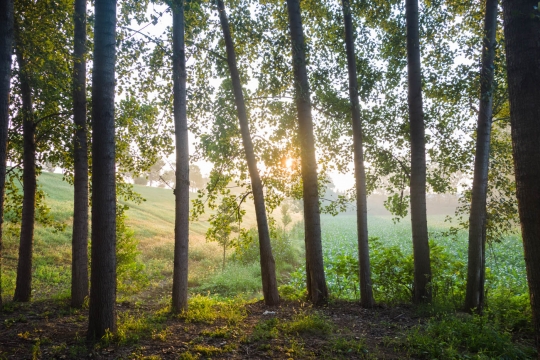 Nice sun rays at our campspot
