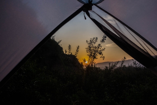 View from the tent