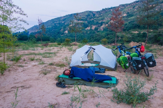 Martin sleeping outside, ground is too warm