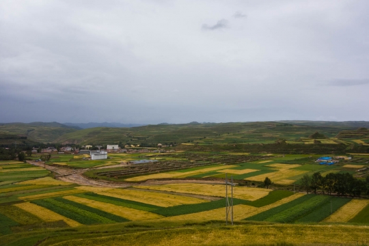 Nice views of agriculture
