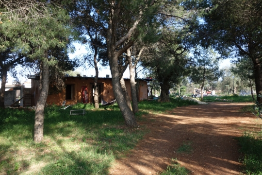 The straw bale school