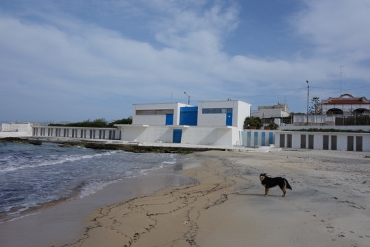 Clandestina at the beach