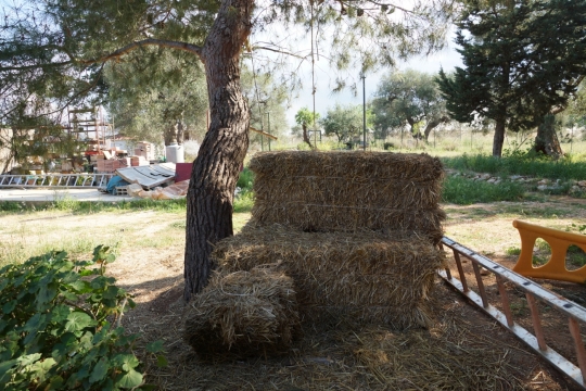 Straw