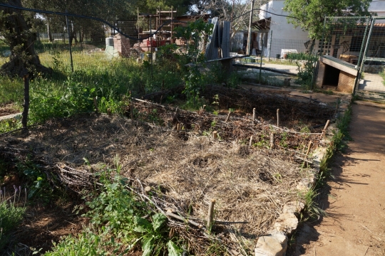 Permaculture beds