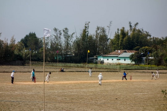 Cricket!!