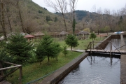 Farma Sotira