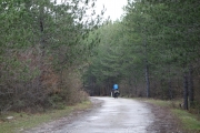 On the road again