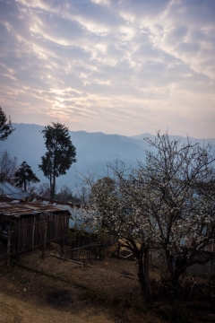 Morning view Cheteba