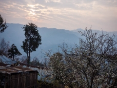 Morning view Cheteba Morning view Cheteba