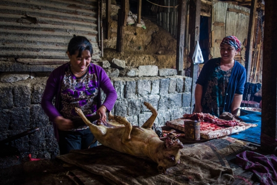 Kohima market preparing dog