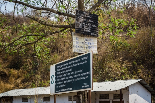 Looting and extortion prohibited