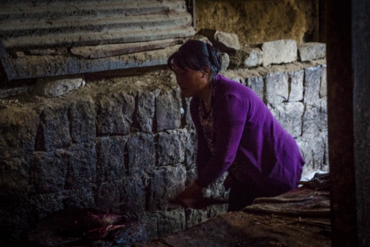 Kohima market chopping dog