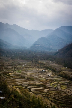 Khonoma village
