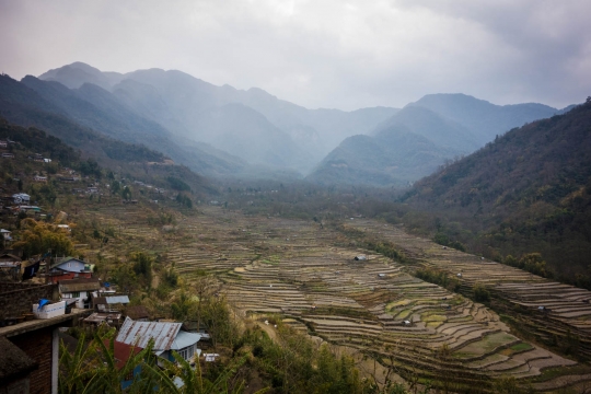 Khonoma village