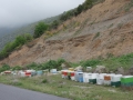 Beehives