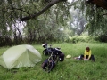 Camping in insect heaven