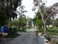 Camping Alexandros Nea Karvali