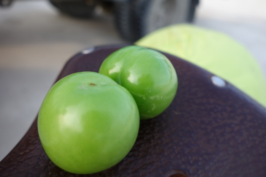 The green plum