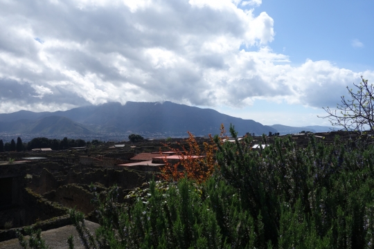 Vesuvius and fields behind Pompei