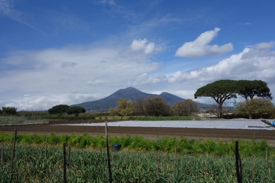 Vesuvius
