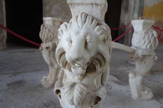 Lion head on table
