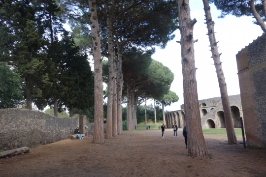 View of anfitheater