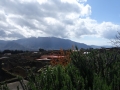 Vesuvius and fields behind Pompei