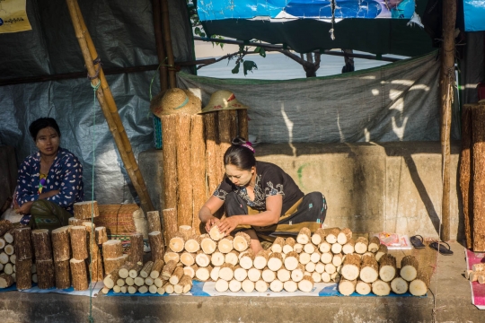 Wood for the face decoration paste in Pyay
