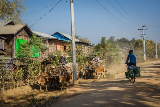 Oxcarts on dirtroad out of Pyay