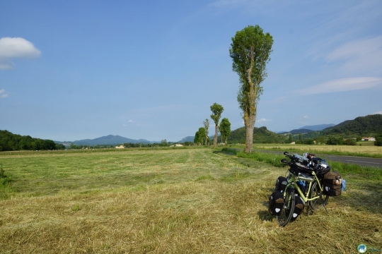 Taking a break in a field.
