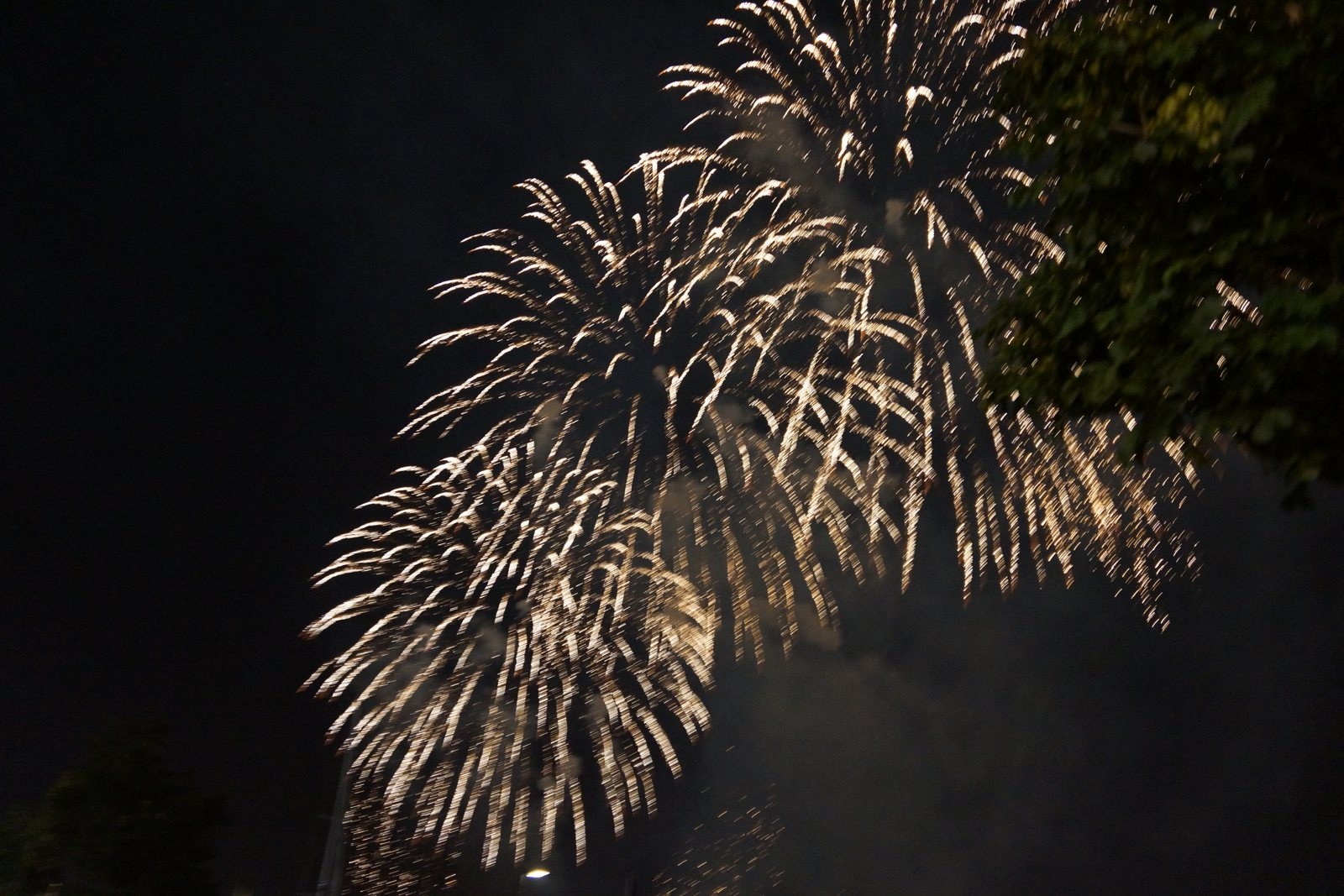 Fireworks for 14th of July.