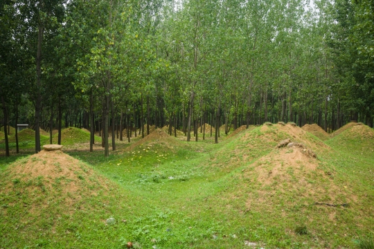 Cemetery