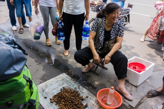 Crickets, we have heard them and seen them collected, here they are sold