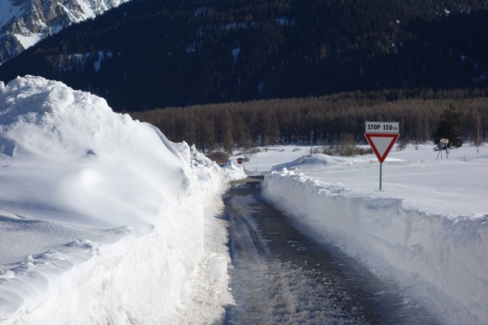 Signs up to their necks in snow