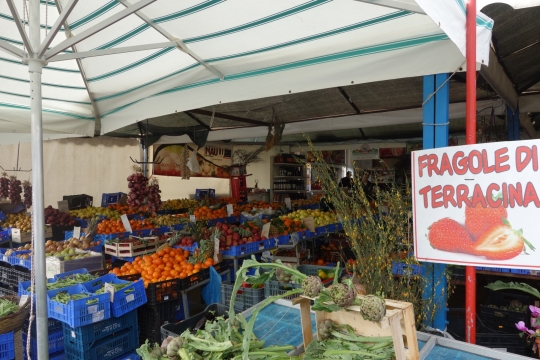 Our afternoon supply stop with fresh strawberries