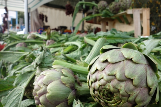 Carcioli are now in season