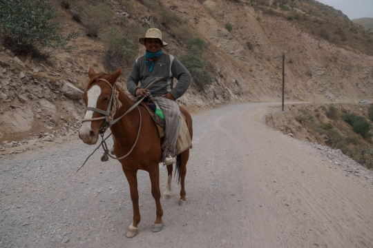 A herder on his horse