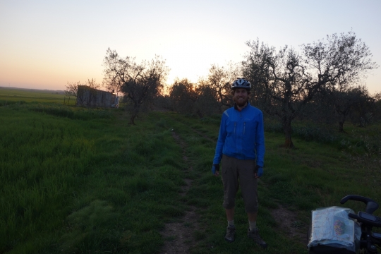 Our camping spot in the olive grove