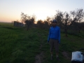 Our camping spot in the olive grove