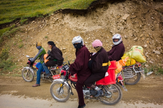 Roadside gathering