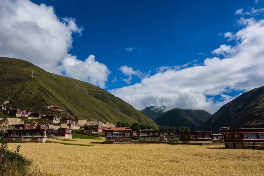Great Tibetan houses